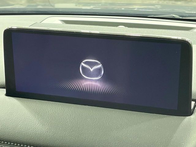 �yBOSE�T�E���h�V�X�e���t�������i�r�z�[���̃i�r�@�\�͂������A���x�ȃ`���[�j���O�\�͂����ڂ���Ă���A�������ȉ��y�����y���݂��������܂���