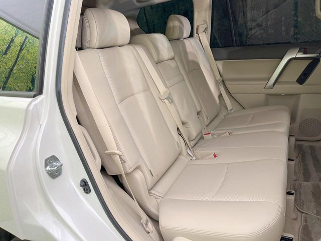 �㕔���Ȃ��C�ɂȂ�悤�ȃL�Y�E�����ւ��蓙�A�傫�ȃ_���[�W�͂Ȃ��A�ǍD�ȏ�Ԃł��B