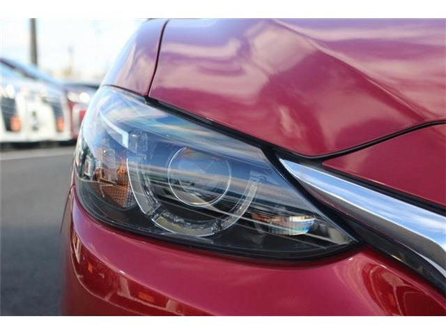 ���Ǝҗl�ւ̔̔��͂��f�肳���Ă��������܂��B �Ԍ������ԗ��̏ꍇ�́A�Ԍ����擾�������x�������z�ŕ\�����Ă���܂��B