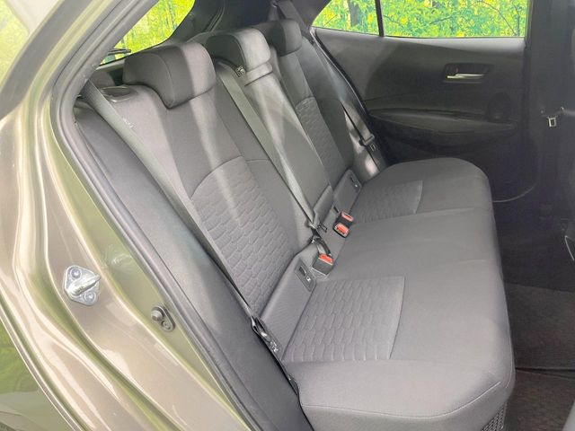 �㕔���Ȃ��C�ɂȂ�悤�ȃL�Y�E�����ւ��蓙�A�傫�ȃ_���[�W�͂Ȃ��A�ǍD�ȏ�Ԃł��B