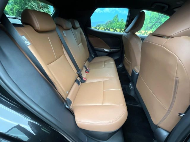 �㕔���Ȃ��C�ɂȂ�悤�ȃL�Y�E�����ւ��蓙�A�傫�ȃ_���[�W�͂Ȃ��A�ǍD�ȏ�Ԃł��B