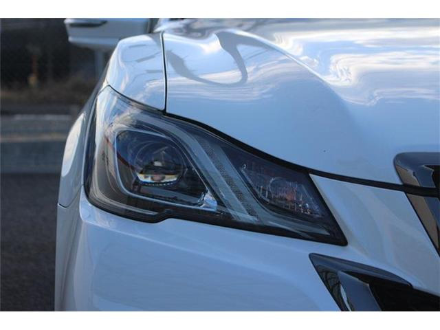 �����X�o���Ȃ����q�l�A���Ǝҗl�ւ̔̔��͂��f�肳���Ă��������܂��B�Ԍ������ԗ��̏ꍇ�́A�Ԍ����擾�������x�������z�ŕ\�����Ă���܂��B