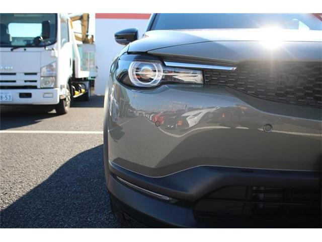 ���Ǝҗl�ւ̔̔��͂��f�肳���Ă��������܂��B �Ԍ������ԗ��̏ꍇ�́A�Ԍ����擾�������x�������z�ŕ\�����Ă���܂��B