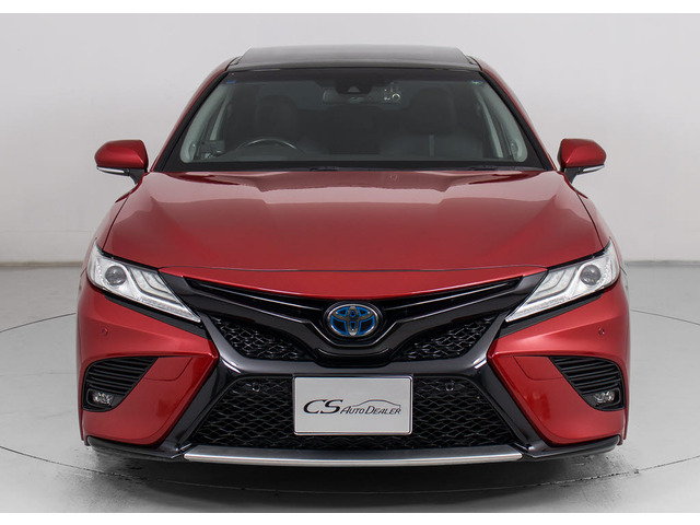 �։��Ԃł�!�����͌��ȃj�I�C�������A�������Y��ȏ�Ԃł�!�։��ԁE�E���ɃZ�_���^�C�v�̂��Ԃł͏��Ȃ��ł����!!�^�o�R�̃j�I�C�����Ȃ��q�l�K���ł�!���K�ɂ���Ԓ����܂�!!