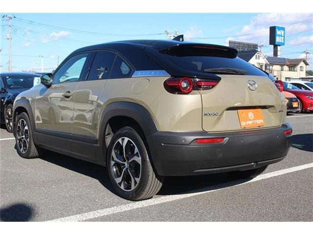 ���Ǝҗl�ւ̔̔��͂��f�肳���Ă��������܂��B �Ԍ������ԗ��̏ꍇ�́A�Ԍ����擾�������x�������z�ŕ\�����Ă���܂��B