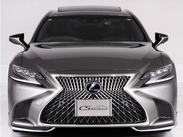 ���f���X�^�G�A���Ńh���X�A�b�v�ς̂��������ԗ�!