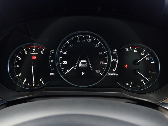 ���[�^�[�p�l�����m�肽����񂪈�ڗđR�ł��ˁB