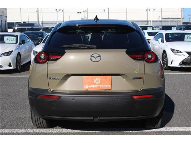 ���Ǝҗl�ւ̔̔��͂��f�肳���Ă��������܂��B �Ԍ������ԗ��̏ꍇ�́A�Ԍ����擾�������x�������z�ŕ\�����Ă���܂��B