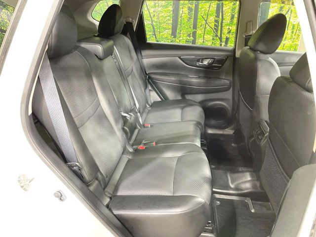 �㕔���Ȃ��C�ɂȂ�悤�ȃL�Y�E�����ւ��蓙�A�傫�ȃ_���[�W�͂Ȃ��A�ǍD�ȏ�Ԃł��B