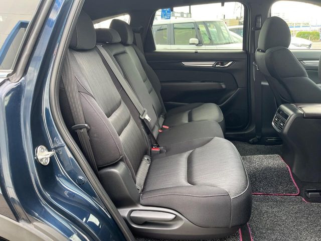 �㕔���Ȃ��C�ɂȂ�悤�ȃL�Y�E�����ւ��蓙�A�傫�ȃ_���[�W�͂Ȃ��A�ǍD�ȏ�Ԃł��B