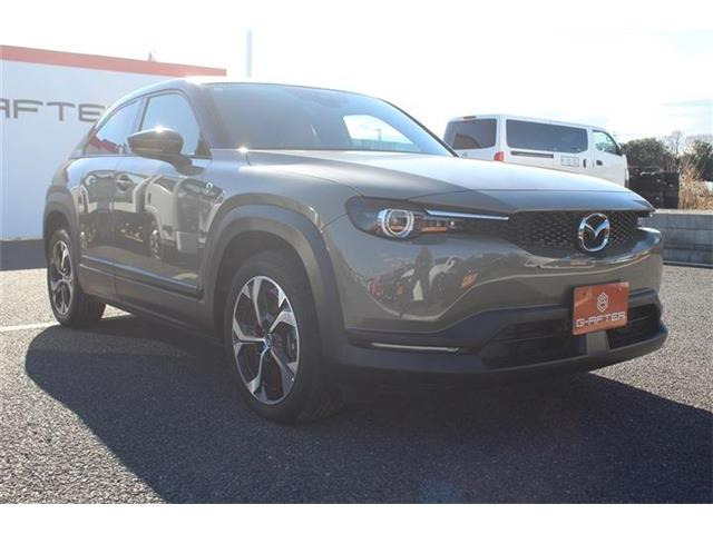 ���Ǝҗl�ւ̔̔��͂��f�肳���Ă��������܂��B �Ԍ������ԗ��̏ꍇ�́A�Ԍ����擾�������x�������z�ŕ\�����Ă���܂��B