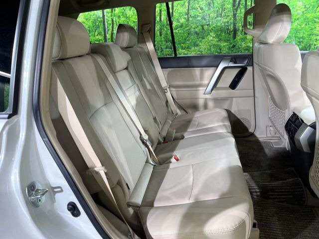 �㕔���Ȃ��C�ɂȂ�悤�ȃL�Y�E�����ւ��蓙�A�傫�ȃ_���[�W�͂Ȃ��A�ǍD�ȏ�Ԃł��B