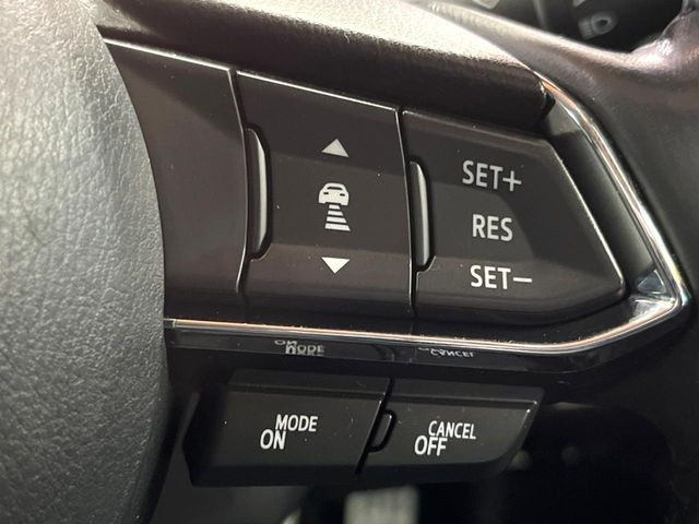 �y�}�c�_�E���[�_�[�N���[�Y�R���g���[���z�������H�ł̒��������s���y��!�����ő��x��ۂN���[�Y�R���g���[�����A�Փˌy���V�X�e���ƘA�g���A�O���̎ԗ������m���ĎԊԂ�ۂ悤�ɑ��x���߂��Ă���܂�!