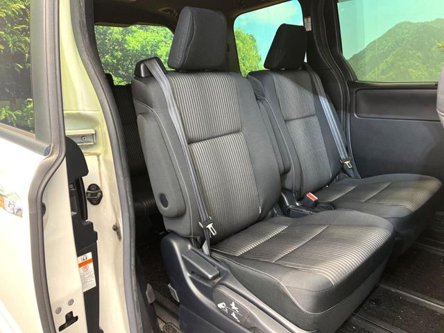 �㕔���Ȃ��C�ɂȂ�悤�ȃL�Y�E�����ւ��蓙�A�傫�ȃ_���[�W�͂Ȃ��A�ǍD�ȏ�Ԃł��B