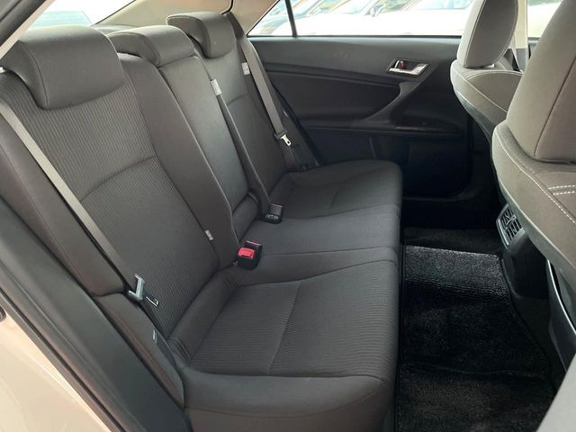 �㕔���Ȃ��C�ɂȂ�悤�ȃL�Y�E�����ւ��蓙�A�傫�ȃ_���[�W�͂Ȃ��A�ǍD�ȏ�Ԃł��B