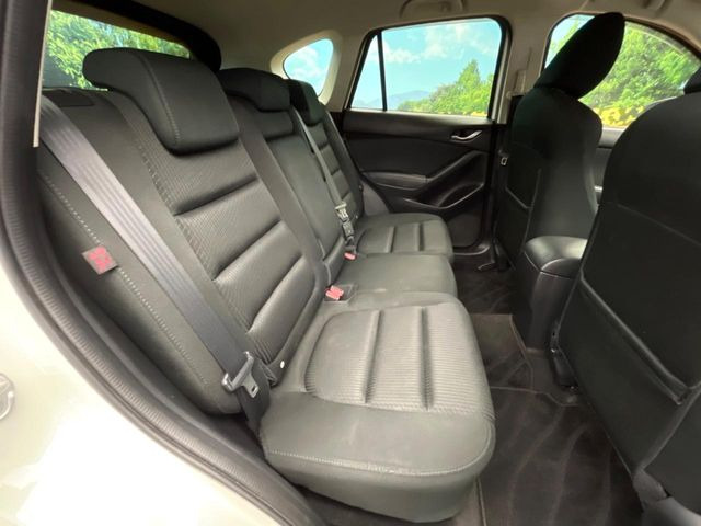 �㕔���Ȃ��C�ɂȂ�悤�ȃL�Y�E�����ւ��蓙�A�傫�ȃ_���[�W�͂Ȃ��A�ǍD�ȏ�Ԃł��B