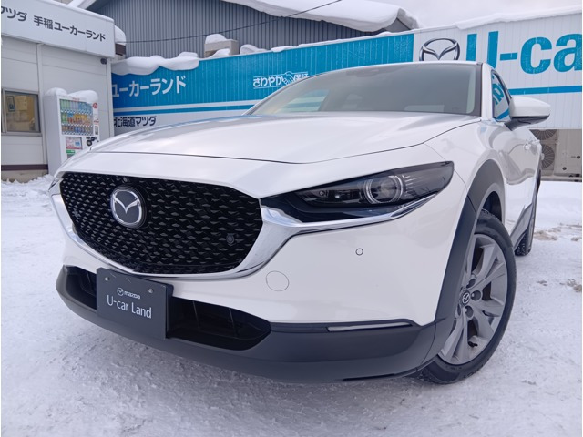 CX-301.8 XD Lパッケージ 4WD