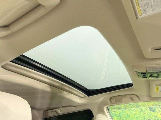 �y�T�����[�t�z�J���������Ղ�̊󏭑����A�T�����[�t����������Ă��܂�!�ԓ��ɖ�����������ꂽ��i�F���y���ވȊO�ɂ��A�ԓ��̋�C���ȒP�Ɋ��C�ł��ĉ��K�ł�!