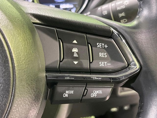 �y�}�c�_�E���[�_�[�N���[�Y�R���g���[���z�������H�ł̒��������s���y��!�����ő��x��ۂN���[�Y�R���g���[�����A�Փˌy���V�X�e���ƘA�g���A�O���̎ԗ������m���ĎԊԂ�ۂ悤�ɑ��x���߂��Ă���܂�!!