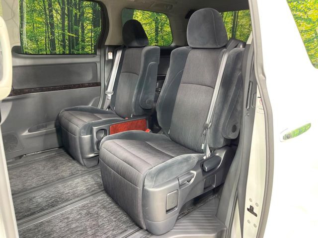 �㕔���Ȃ��C�ɂȂ�悤�ȃL�Y�E�����ւ��蓙�A�傫�ȃ_���[�W�͂Ȃ��A�ǍD�ȏ�Ԃł��B