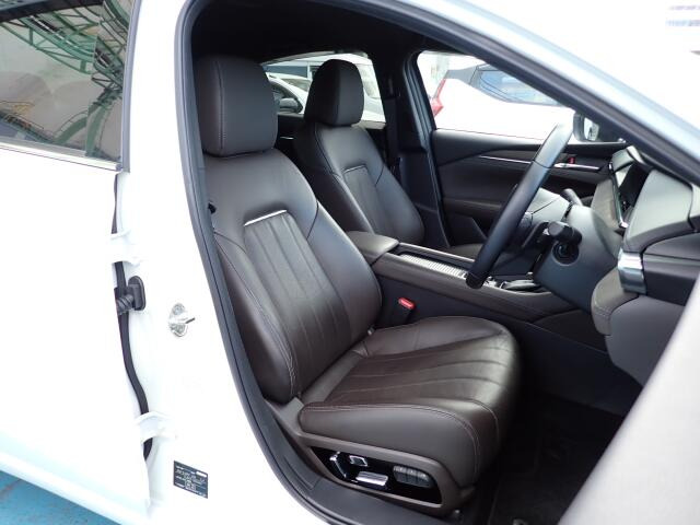 �^�]�Ȃ��傫�ȎC����Ȃ���ԗǍD�ł��B