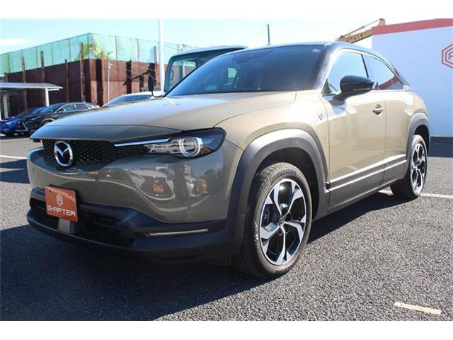 ���Ǝҗl�ւ̔̔��͂��f�肳���Ă��������܂��B �Ԍ������ԗ��̏ꍇ�́A�Ԍ����擾�������x�������z�ŕ\�����Ă���܂��B