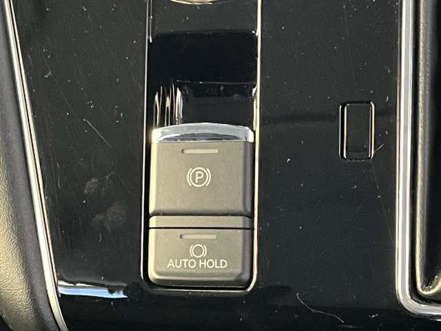 �d���T�C�h�u���[�L�A�u���[�L�z�[���h�Œ�Ԏ����S!