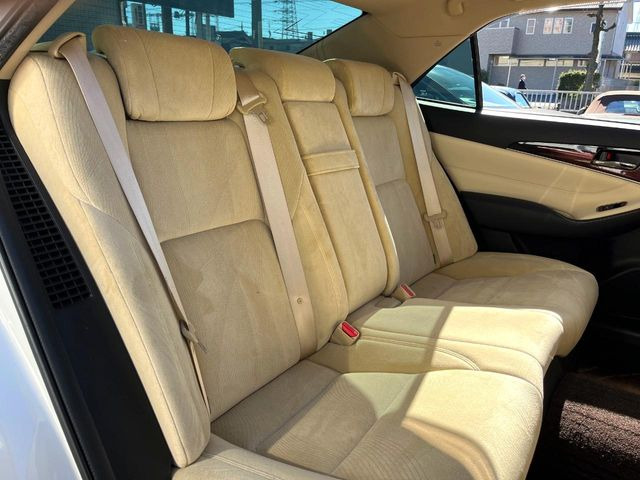 �㕔���Ȃ��C�ɂȂ�悤�ȃL�Y�E�����ւ��蓙�A�傫�ȃ_���[�W�͂Ȃ��A�ǍD�ȏ�Ԃł��B