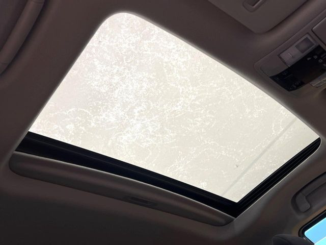 �y�T�����[�t�z�J���������Ղ�̊󏭑����A�T�����[�t����������Ă��܂�!�ԓ��ɖ�����������ꂽ��i�F���y���ވȊO�ɂ��A�ԓ��̋�C���ȒP�Ɋ��C�ł��ĉ��K�ł�!