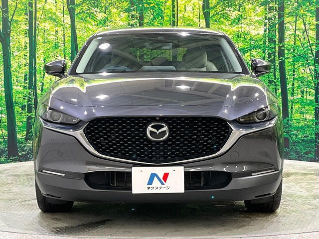 ��D�]�𒸂��Ă���܂��{�f�B�R�[�g���D�]��t���B�������x�̃K���X�疌�ŝ����͂������A�㎿�ȃc���E����������B���O����_���J�����؂Ȉ��Ԃ�ی삵�A�F�����E�򉻂�h�~�B