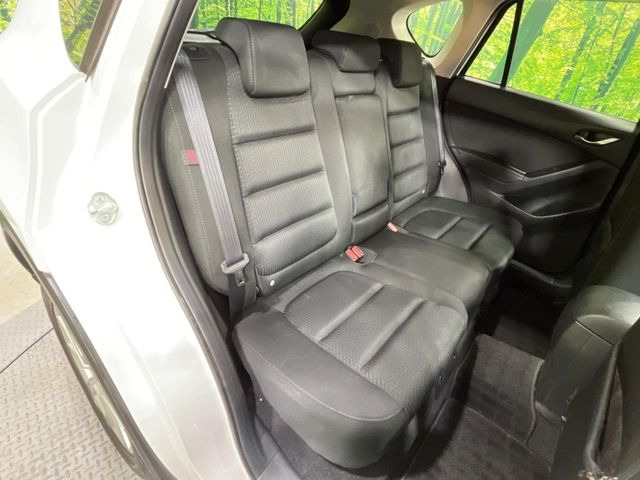 �㕔���Ȃ��C�ɂȂ�悤�ȃL�Y�E�����ւ��蓙�A�傫�ȃ_���[�W�͂Ȃ��A�ǍD�ȏ�Ԃł��B