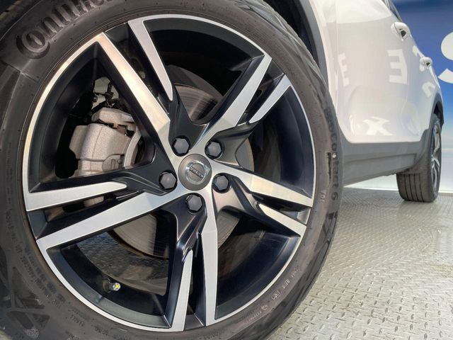 ������19�C���`�A���~�z�C�[��:�A���ԂȂ�ł͂̑�z����������x����z�C�[���Ƒ����ł�!���{�Ԃ̑���Ɋ���Ă�����ɂ����Б̊����Ē��������قǁA�������x���ł܂Ƃ܂��Ă��܂�!