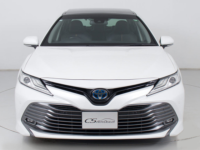 �։��Ԃł�!�����͌��ȃj�I�C�������A�������Y��ȏ�Ԃł�!�։��ԁE�E���ɃZ�_���^�C�v�̂��Ԃł͏��Ȃ��ł����!!�^�o�R�̃j�I�C�����Ȃ��q�l�K���ł�!���K�ɂ���Ԓ����܂�!!