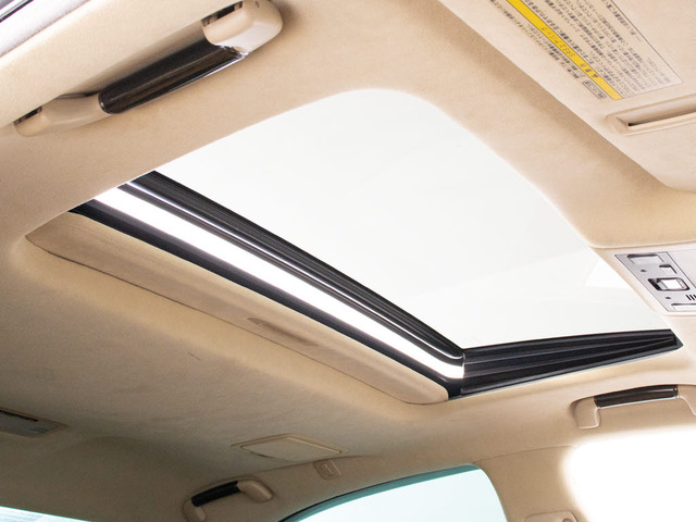 ���l�C�����̃T�����[�t!�l�X�ȃh���C�u�V�[���Ŋ��􂵂Ă���܂�!!�J��������ԓ���Ԃ͋C�����������ł���!