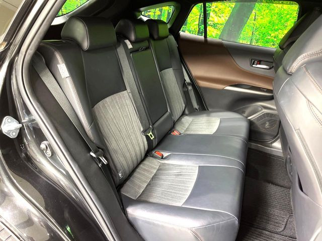 �㕔���Ȃ��C�ɂȂ�悤�ȃL�Y�E�����ւ��蓙�A�傫�ȃ_���[�W�͂Ȃ��A�ǍD�ȏ�Ԃł��B