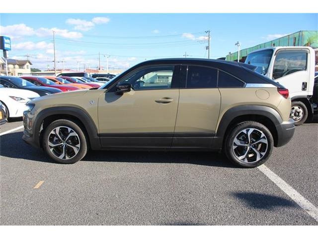 ���Ǝҗl�ւ̔̔��͂��f�肳���Ă��������܂��B �Ԍ������ԗ��̏ꍇ�́A�Ԍ����擾�������x�������z�ŕ\�����Ă���܂��B