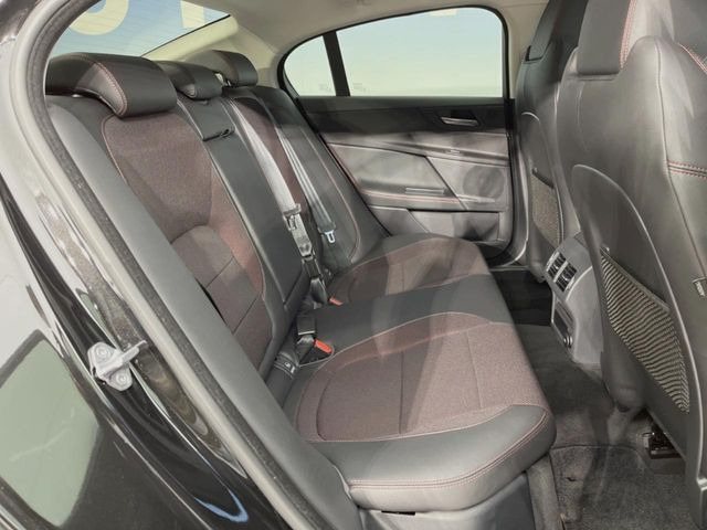 ���㕔���Ȃ��C�ɂȂ�悤�ȃL�Y�E�����ւ��蓙�A�傫�ȃ_���[�W�͂Ȃ��A�ǍD�ȏ�Ԃł��B