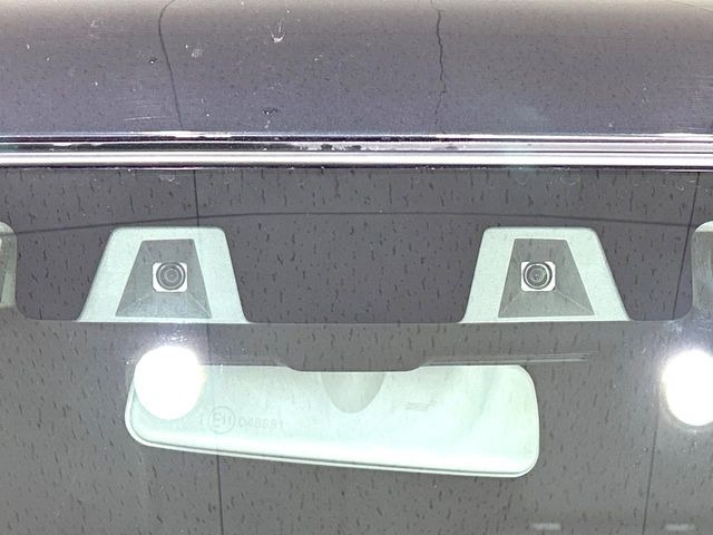 ハスラータフワイルド