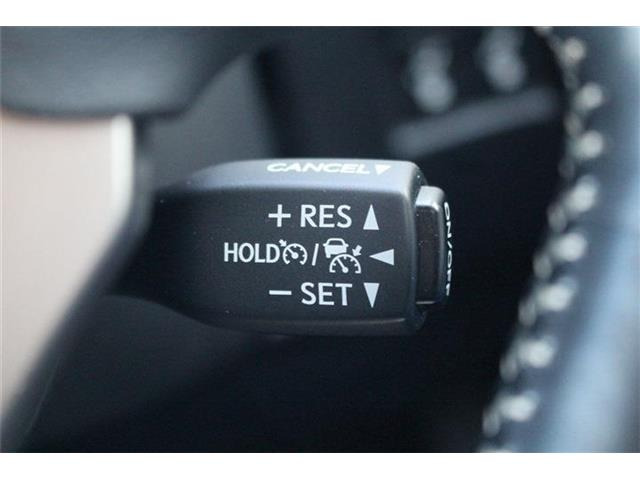 ������肪�����ĂȂ��Ȃ��C�ɓ��������Ԃ��Ȃ������̂��q�l!�S���̃I�[�N�V��������s�b�^����1���T�����Ƃ��\�ł��B���Ј�x���₢���킹���������B