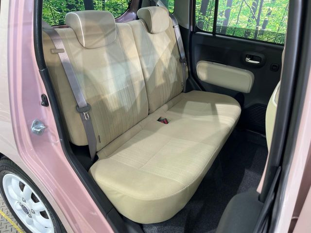 �㕔���Ȃ��C�ɂȂ�悤�ȃL�Y�E�����ւ��蓙�A�傫�ȃ_���[�W�͂Ȃ��A�ǍD�ȏ�Ԃł��B