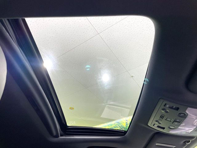 �y���[�����[�t�z�J���������Ղ�̊󏭑����A�T�����[�t����������Ă��܂�!�ԓ��ɖ�����������ꂽ��i�F���y���ވȊO�ɂ��A�ԓ��̋�C���ȒP�Ɋ��C�ł��ĉ��K�ł�!