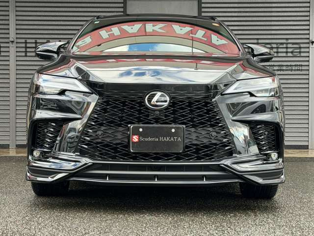 �O��LED�w�b�h���C�g(�I�[�g���C�g�E�I�[�g�n�C�r�[��):LED�|�W�V���j���O���C�g�E�{�f�B�[�J���[�E�O���t�@�C�g�u���b�N�K���X�t���[�N�B