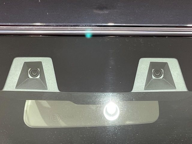 ハスラータフワイルド