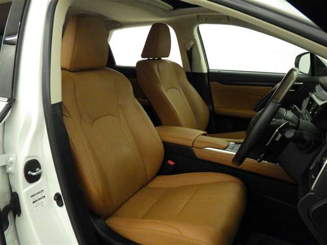 RX300 バージョンL