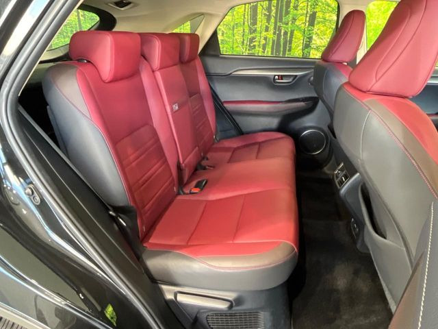 �㕔���Ȃ��C�ɂȂ�悤�ȃL�Y�E�����ւ��蓙�A�傫�ȃ_���[�W�͂Ȃ��A�ǍD�ȏ�Ԃł��B