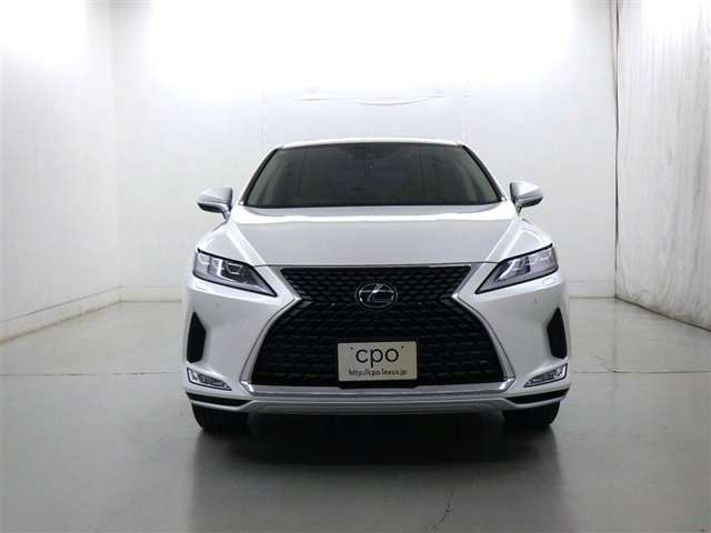 RX300 バージョンL