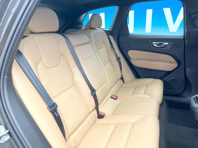 �����N���[���ȏ�Ԃ��L�[�v���������q�l�ɂ́w�i�m�]�[���R�[�g�x����������!�R���i�E�C���X�΍��A���ہE���L�Ɍ��ʂ𔭊��������̕��ɂ��D�]���������Ă���܂��B