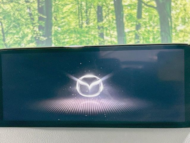 �y10.25�C���`�}�c�_�R�l�N�g�z�ԓ��̕��͋C�Ƀ}�b�`������^�f�B�X�v���C�B�X�}�z�ڑ��ł̃i�r�g�p��Bluetooth�Đ����A�l�X�ȋ@�\���y���߂܂��B�����I�ȃ_�C�������삪�\�ŁA�g��������ǍD�ł��B