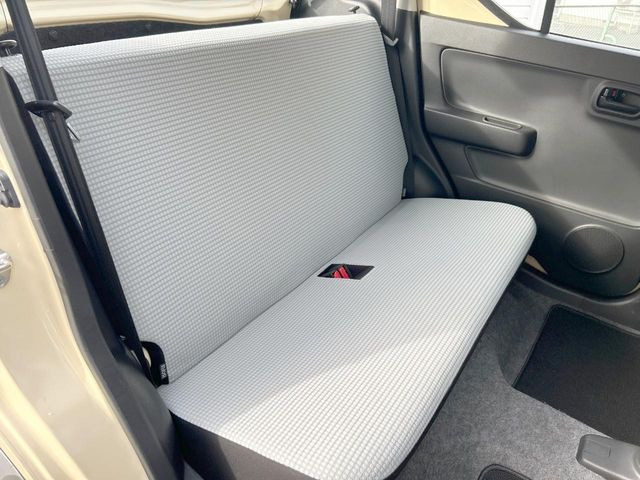 �㕔���Ȃ��C�ɂȂ�悤�ȃL�Y�E�����ւ��蓙�A�傫�ȃ_���[�W�͂Ȃ��A�ǍD�ȏ�Ԃł��B