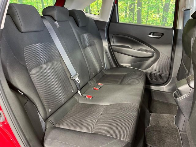 �㕔���Ȃ��C�ɂȂ�悤�ȃL�Y�E�����ւ��蓙�A�傫�ȃ_���[�W�͂Ȃ��A�ǍD�ȏ�Ԃł��B